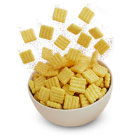 Protein Chips hover