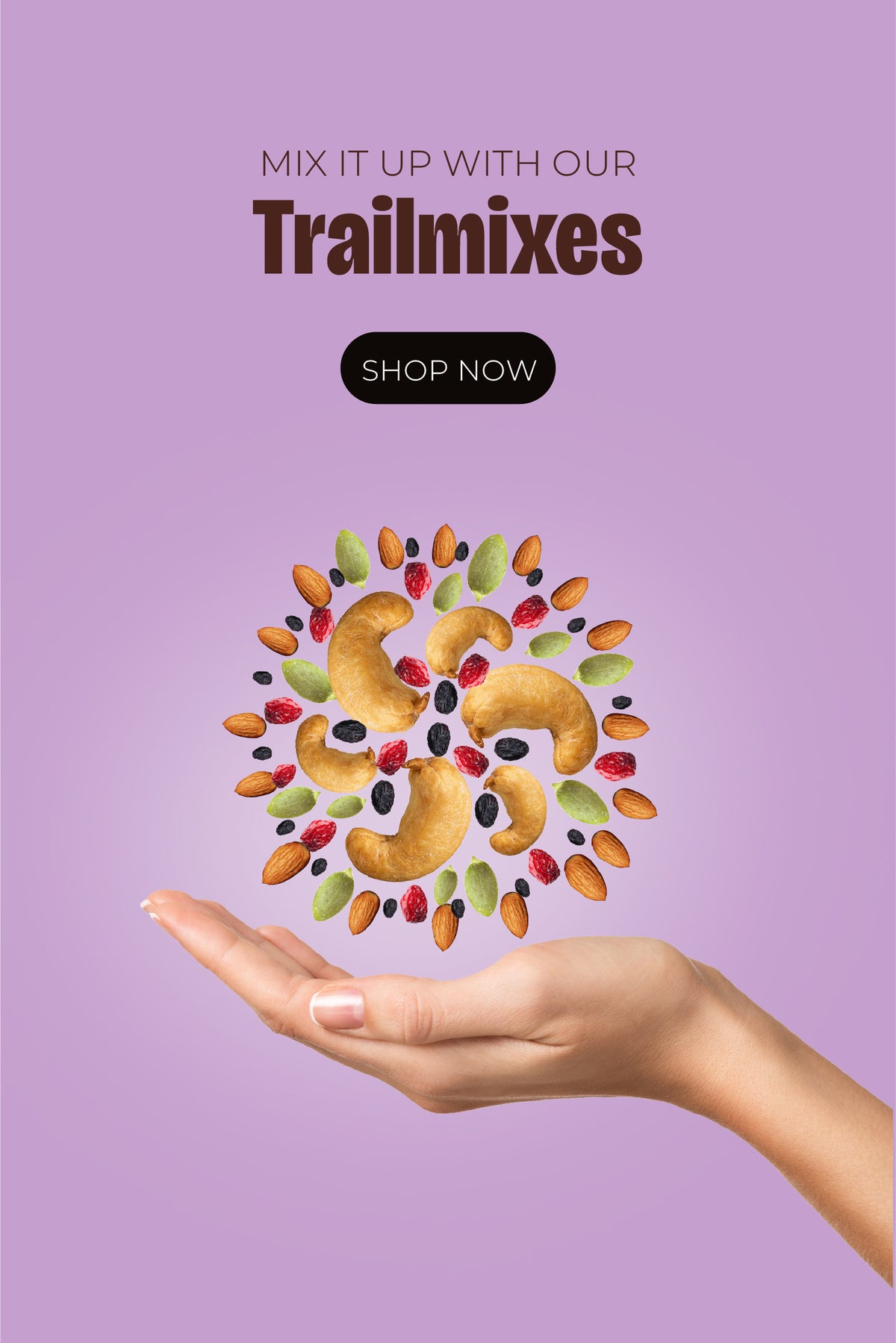 Buy Dry Fruits, Trail Mix, Seeds and Nuts Online | Shop Mixed ...
